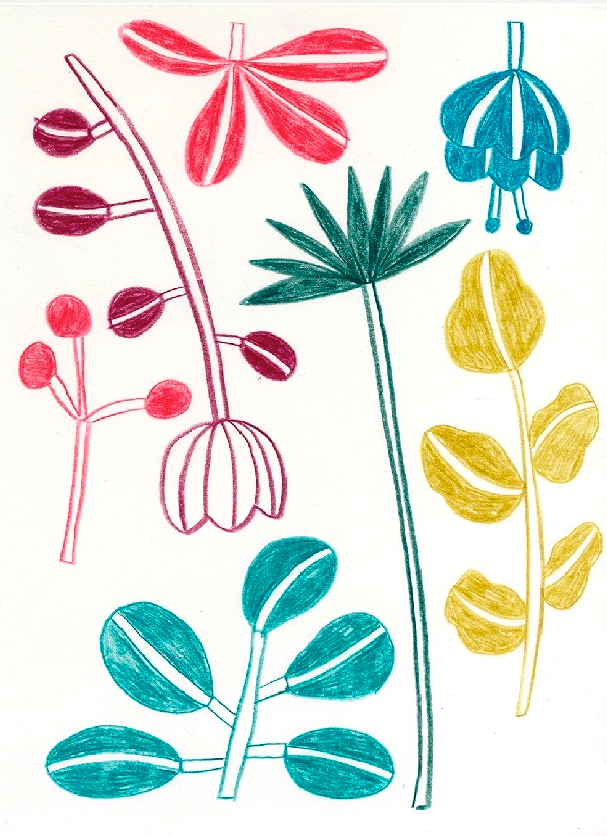 Marta Ricart · Una flor fa estiu