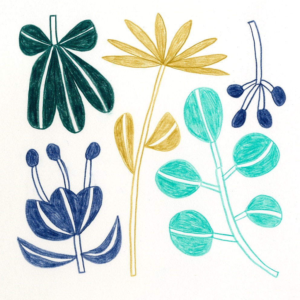 Marta Ricart · Una flor fa estiu
