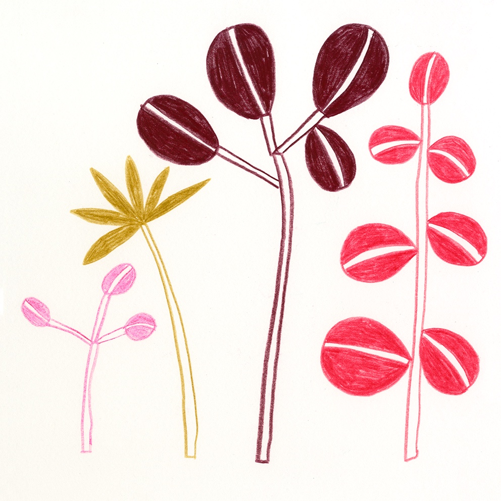 Marta Ricart · Una flor fa estiu