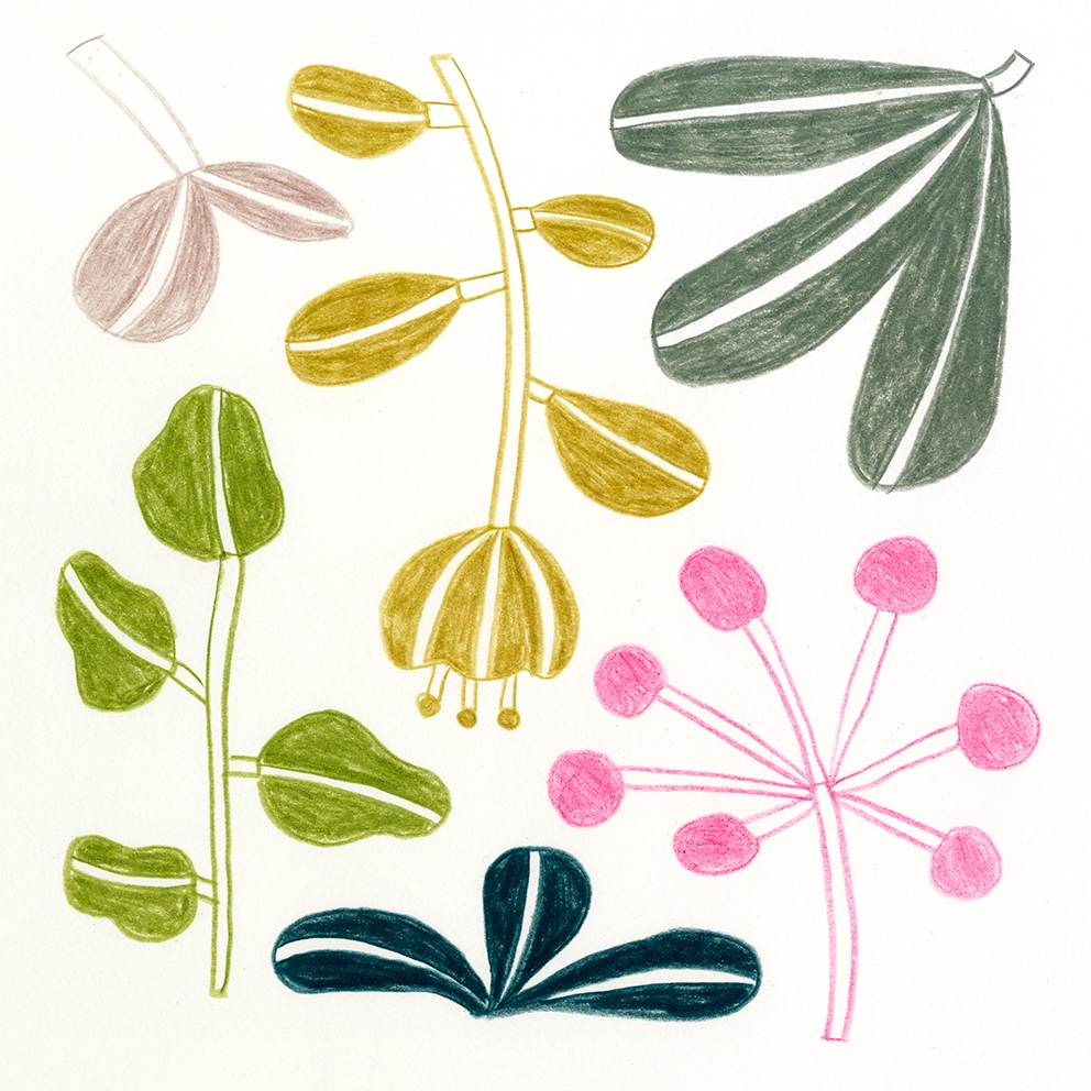 Marta Ricart · Una flor fa estiu