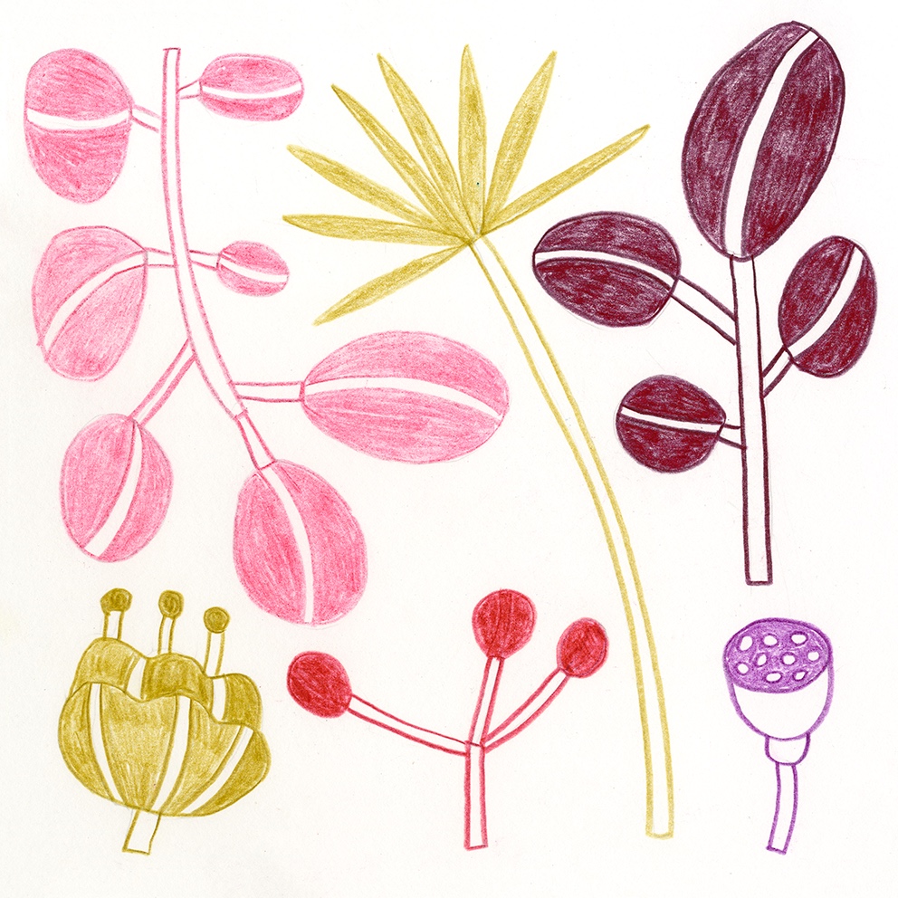 Marta Ricart · Una flor fa estiu