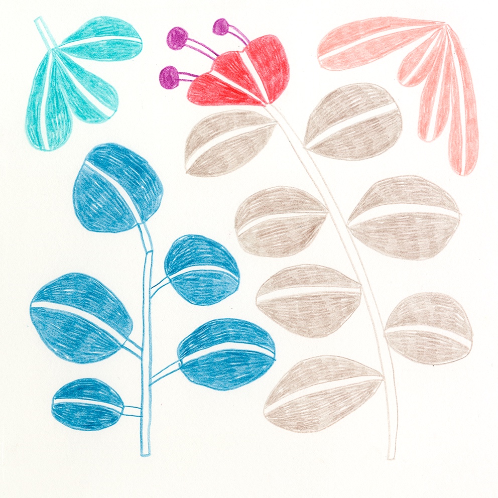 Marta Ricart · Una flor fa estiu
