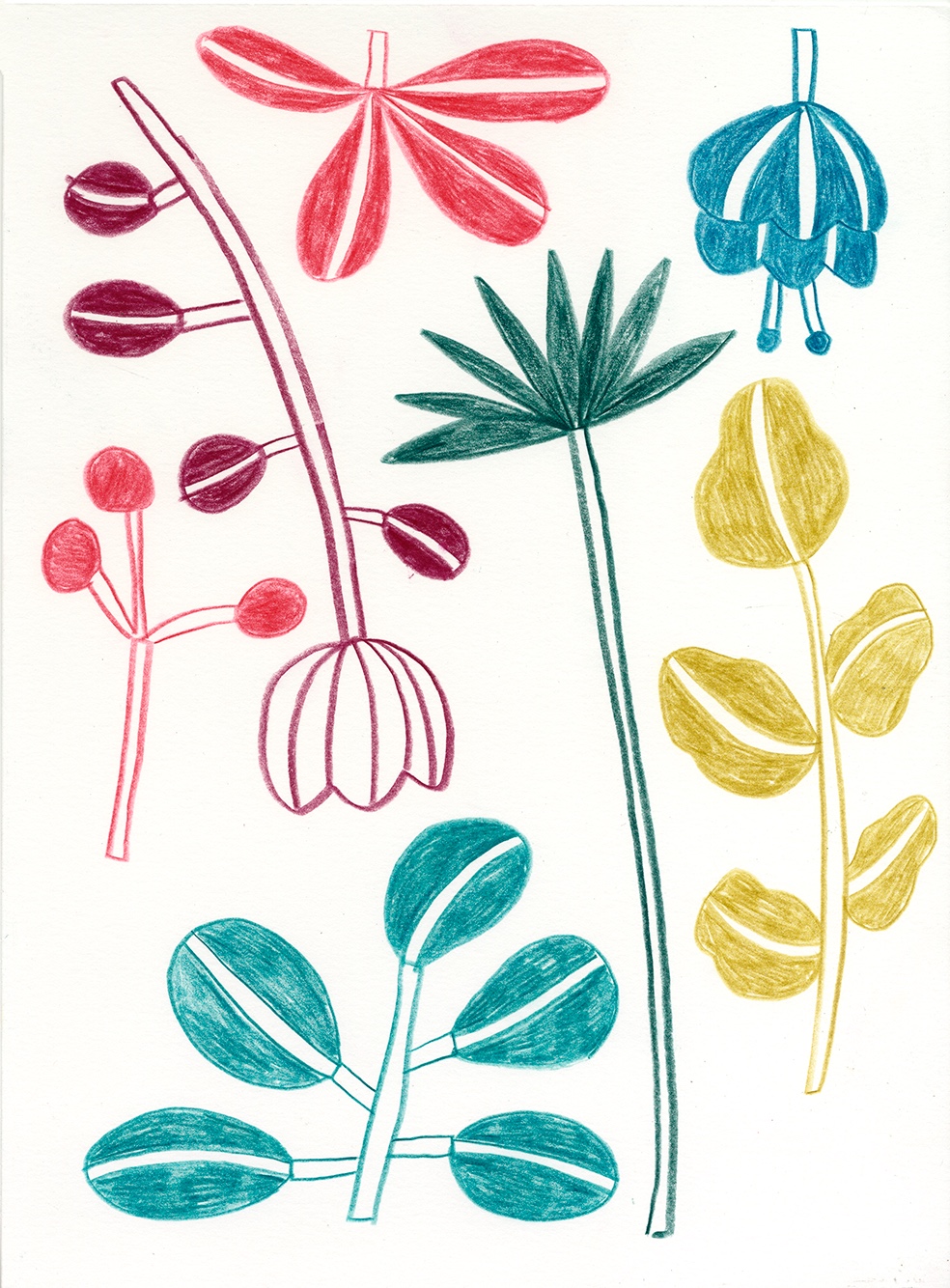 Marta Ricart · Una flor fa estiu