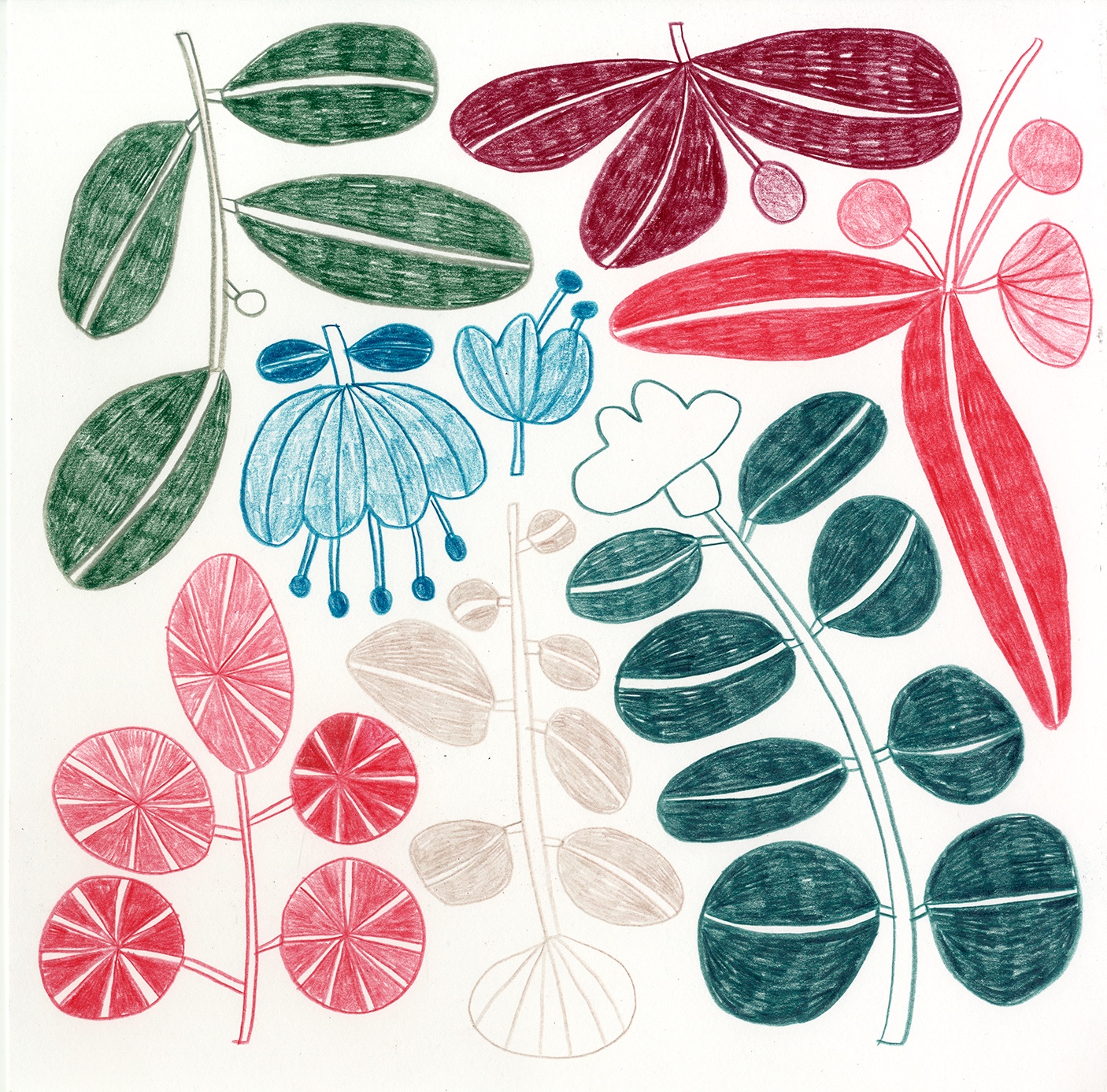 Marta Ricart · Una flor fa estiu